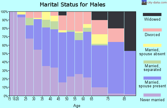Zip code 01108 marital status for males