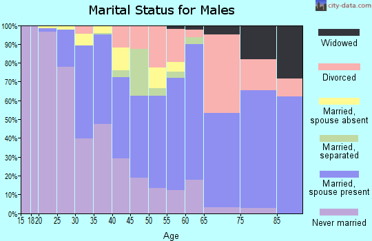 Zip code 01119 marital status for males