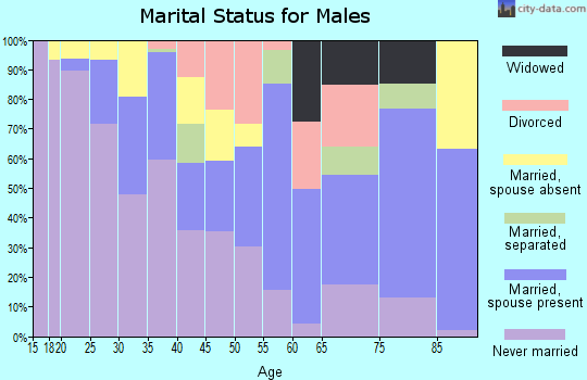 Zip code 01151 marital status for males