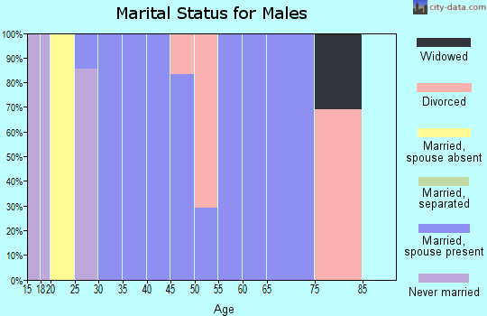 Zip code 01222 marital status for males