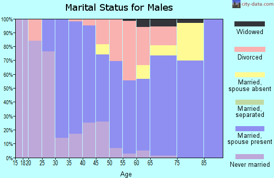 Zip code 01223 marital status for males