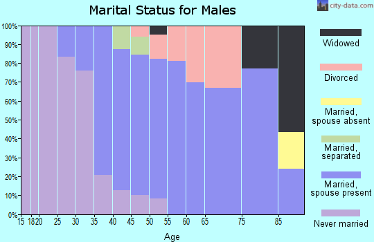Zip code 01225 marital status for males