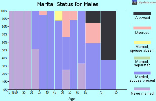 Zip code 01236 marital status for males