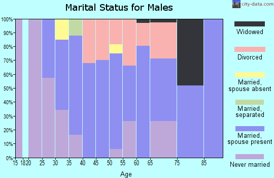 Zip code 01237 marital status for males