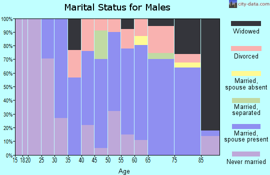Zip code 01238 marital status for males