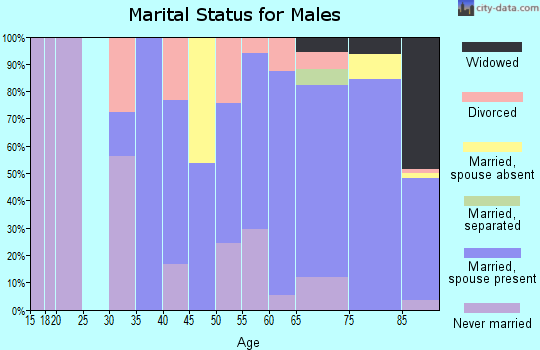 Zip code 01240 marital status for males