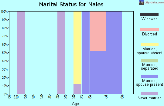 Zip code 01242 marital status for males