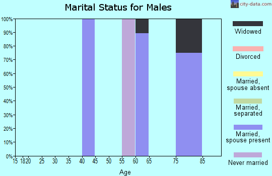 Zip code 01244 marital status for males