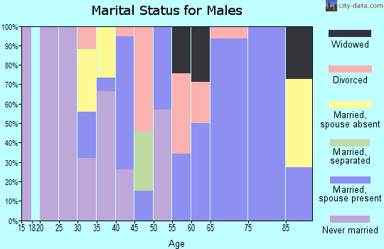 Zip code 01245 marital status for males