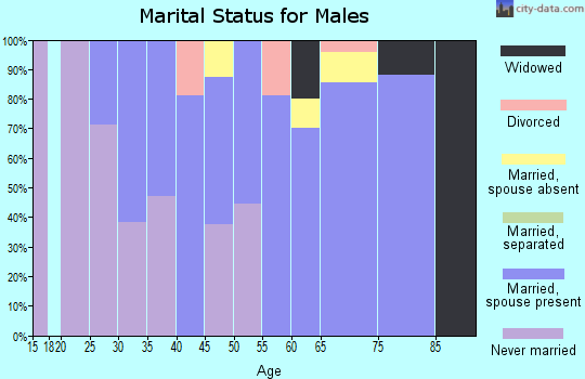 Zip code 01253 marital status for males