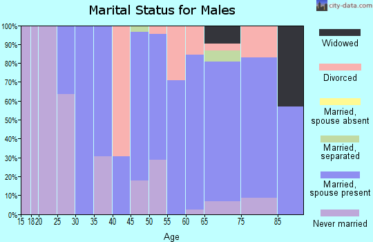 Zip code 01254 marital status for males