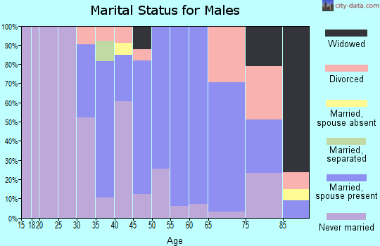 Zip code 01255 marital status for males