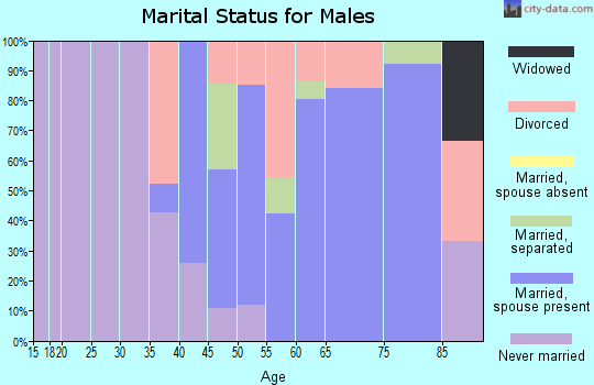 Zip code 01256 marital status for males