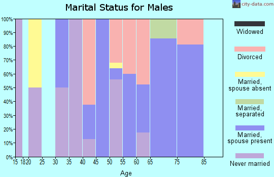 Zip code 01258 marital status for males