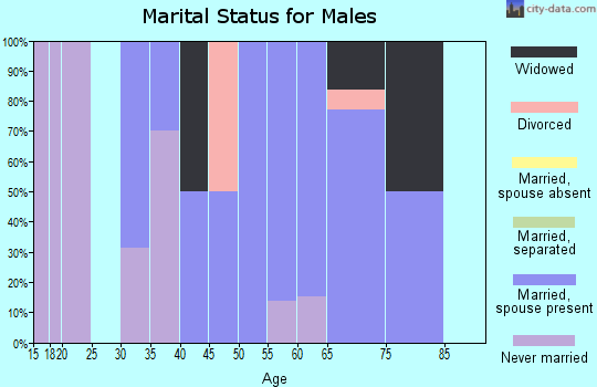 Zip code 01259 marital status for males