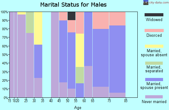 Zip code 01262 marital status for males