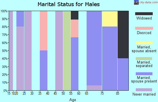 Zip code 01264 marital status for males