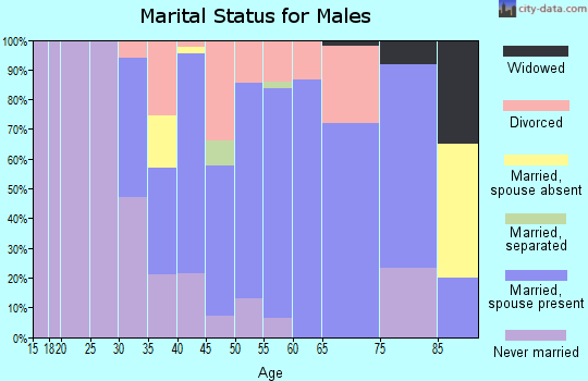 Zip code 01337 marital status for males