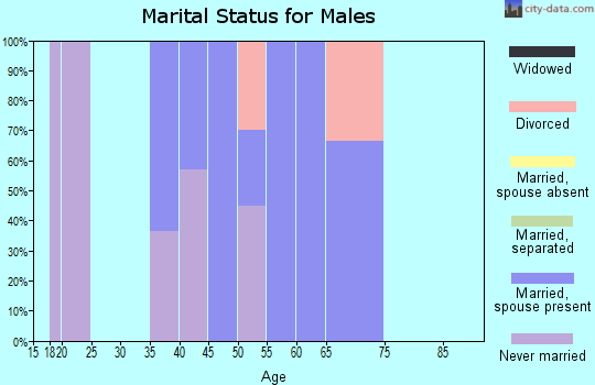 Zip code 01338 marital status for males
