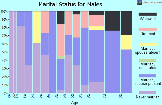 Zip code 01339 marital status for males