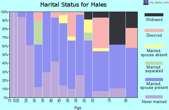 Zip code 01340 marital status for males