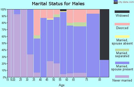 Zip code 01341 marital status for males