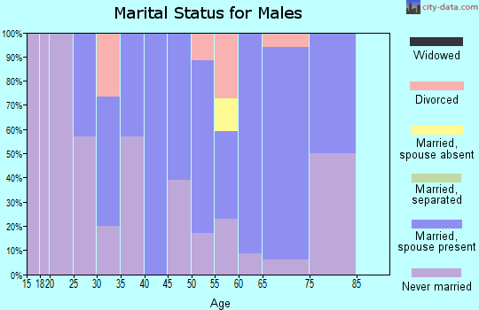 Zip code 01346 marital status for males