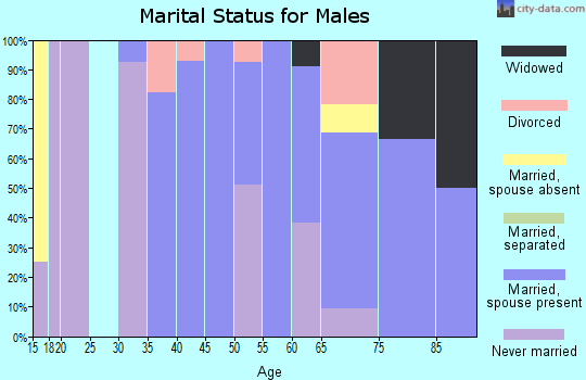 Zip code 01349 marital status for males