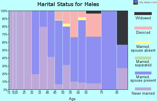 Zip code 01360 marital status for males