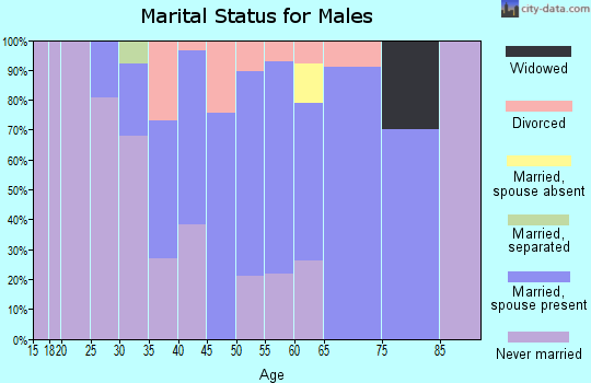 Zip code 01368 marital status for males