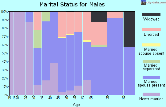 Zip code 01373 marital status for males
