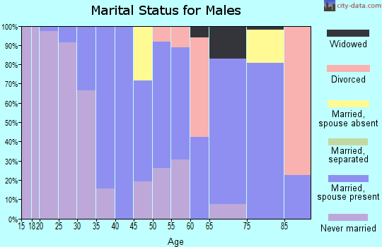 Zip code 01375 marital status for males