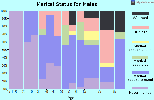 Zip code 01376 marital status for males