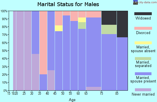 Zip code 01378 marital status for males