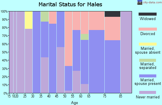Zip code 01379 marital status for males