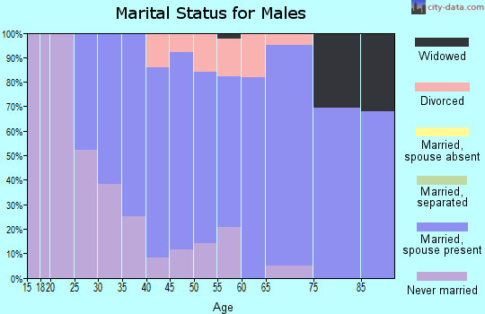 Zip code 01431 marital status for males
