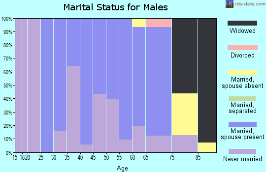 Zip code 01436 marital status for males