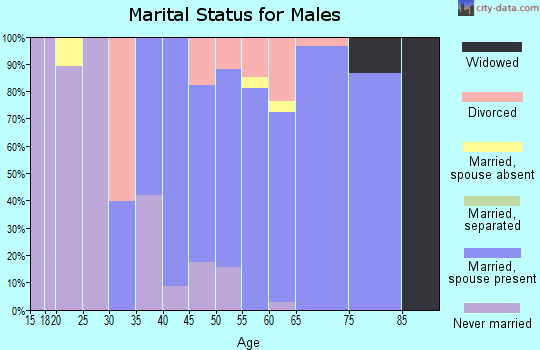 Zip code 01451 marital status for males