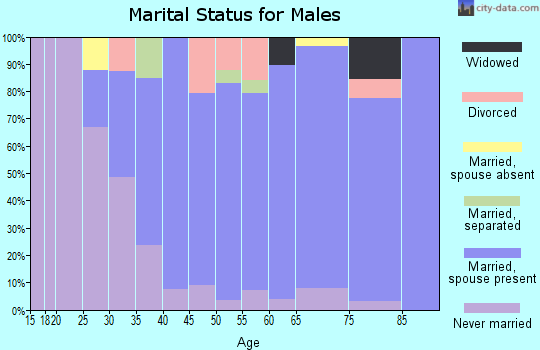 Zip code 01452 marital status for males