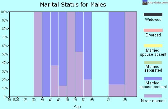 Zip code 01467 marital status for males