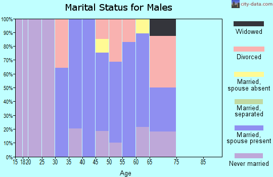 Zip code 01474 marital status for males