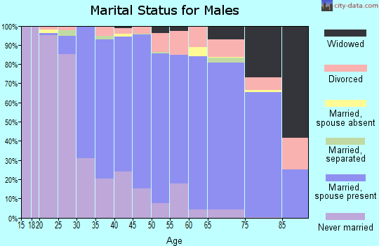 Zip code 01501 marital status for males