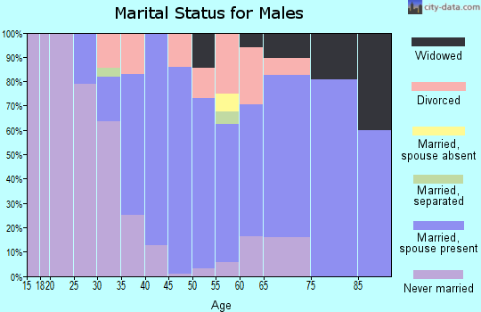Zip code 01503 marital status for males