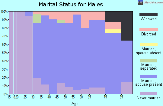 Zip code 01504 marital status for males