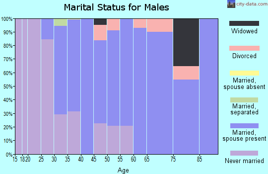 Zip code 01505 marital status for males