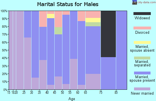 Zip code 01506 marital status for males