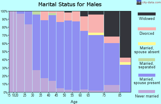 Zip code 01507 marital status for males