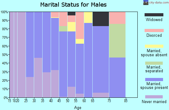 Zip code 01535 marital status for males
