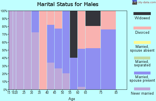 Zip code 01537 marital status for males