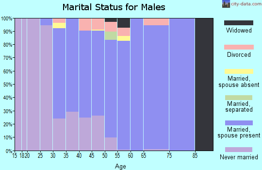 Zip code 01541 marital status for males